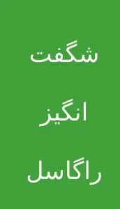 شگفت انگیز راگاسل